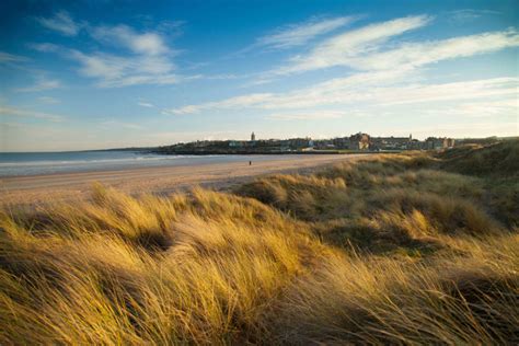 St Andrews West Sands Fife Coast And Countryside Trust