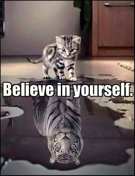 Believe In Yourself Animals And Pets Baby Animals Funny Animals