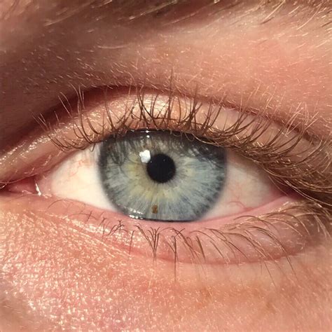 Eye Color Wikiwand