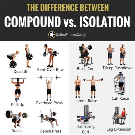 Compound Exercises Vs Isolation Exercises Which Is Better