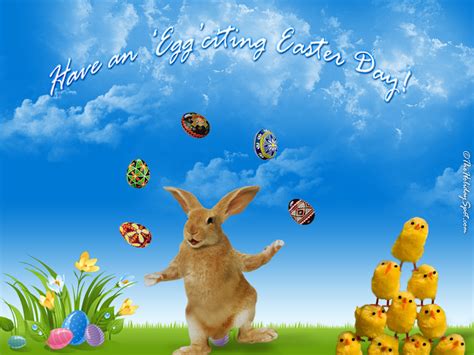 Free Download Pictures Easter Bunny Wallpapers Funny And Cute Easter