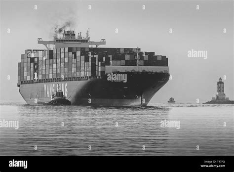 Black And White Photo Of A Yang Ming Cargo Ship Hi Res Stock