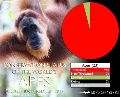 Chart The Worlds Most Endangered Apes