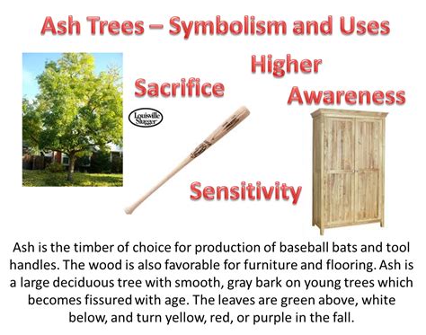 Xeriscapes Unlimited Ash Tree Deciduous Trees Did You Know