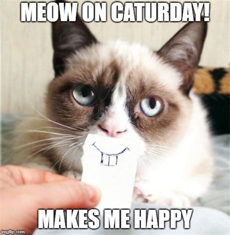 Image Tagged In Grumpy Cat Smile Imgflip