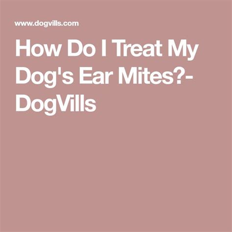 When looking for a puppy, please skip pet stores and internet sites and consider a shelter or rescue first. How Do I Treat My Dog's Ear Mites?- DogVills | Dog ear ...