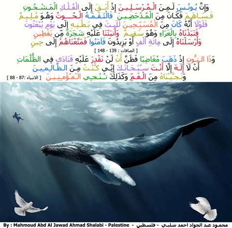 Maybe you would like to learn more about one of these? يونس نبي الله عليه السلام - محمود شلبي