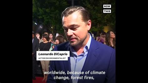 Leonardo Dicaprio Makes Massive Amazon Rainforest Donation Nowthis Youtube