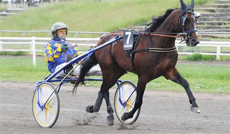 Utrolig Flot Dansk Hest På Fornem Liste Travetdk