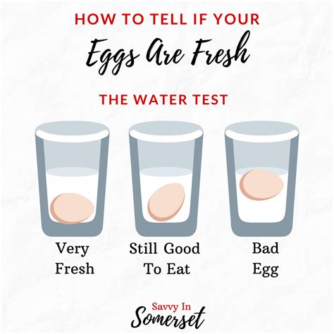 How To Test Eggs For Freshness Check Eggs For Freshness Egg Test For