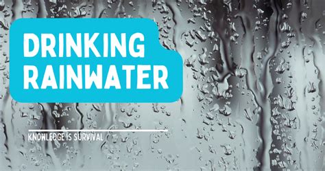 The Benefits And Safety Of Drinking Rainwater Collection Storage And