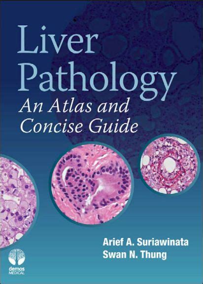 Liver Pathology An Atlas And Concise Guide Pdf Medbooksvn