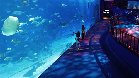 Sea Aquarium Resorts World Sentosa Tickets And Opening Hours