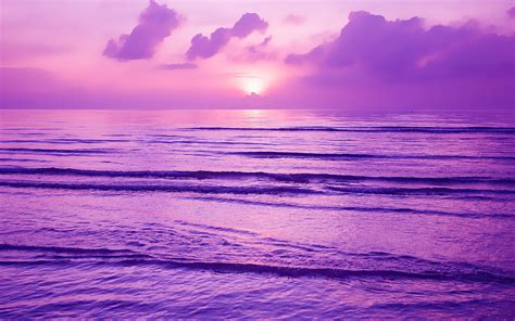 1680x1050 Purple Sunset 4k 1680x1050 Resolution Hd 4k Wallpapers