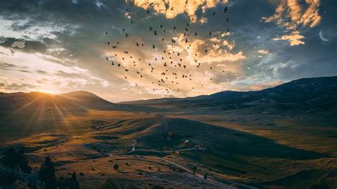 Hills Landscape Under Cloudy Sky And Flying Birds During Sunset 4k 5k