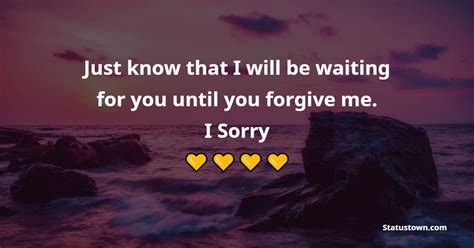Just Know That I Will Be Waiting For You Until You Forgive Me I Sorry
