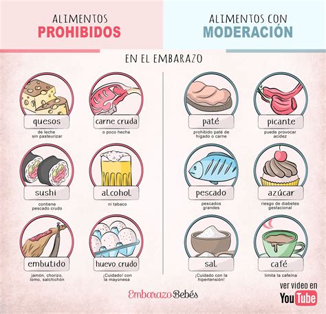 Álbumes 104 Foto 12 Alimentos Que No Se Deben Guardar En El