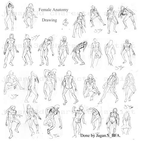 One of the best ways to learn anatomy is to read a book or watch videos on the topic. jagan 3d character artist: Human Anatomy Drawings(Medium : pen)