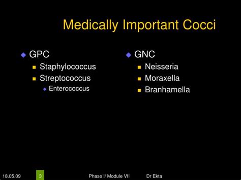 Ppt Medically Important Bacteria Gram Positive Cocci Powerpoint Presentation Id4520487