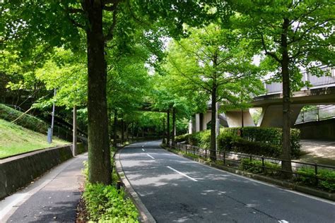 アスリート / 学園 / 感動 / 競輪・自転車 / 高校生. 【東京2020オリンピック自転車ロードレース】多摩市内の詳細 ...