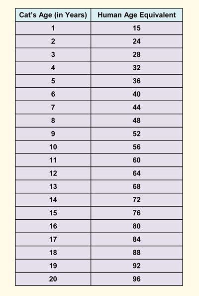 There is no reliable method for calculating precisily how old your cat is in human years equivalent. Cat Age Chart versus Human Age (in years) | Cat age chart ...