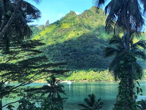 Island Vibes 15 Epic Things To Do In Moorea Explore Now Or Never