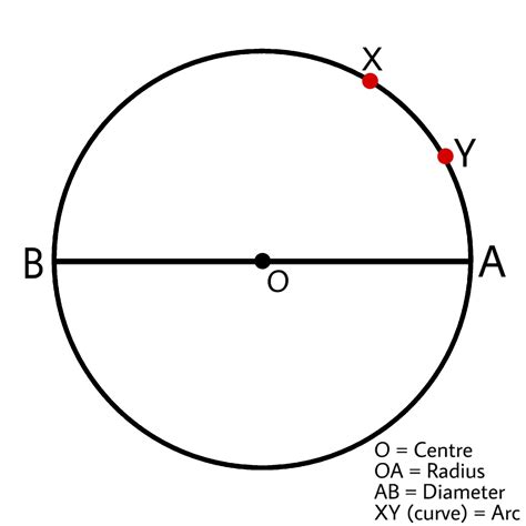 Draw A Circle And Name Its Centre A Radius A Diameter And Arc