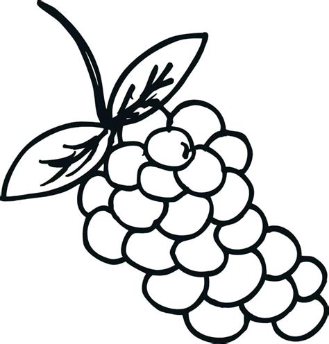 Grape Coloring Page Sketch Coloring Page