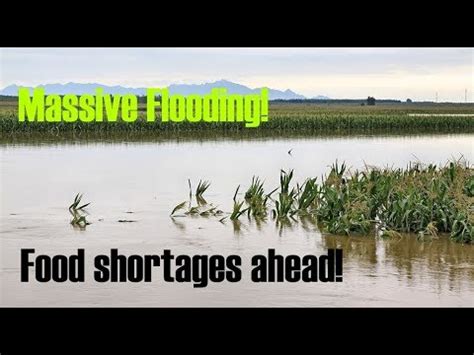While most food manufacturers were able to bounce back and return inventory levels to normal, for all these factors add up to the reality that there could be several food shortages in 2021. Flooding! Food Shortages and High Prices coming soon ...