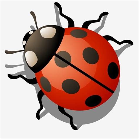 Ladybugs Vector PNG Images Ladybug Ladybug Clipart Vintage Dot PNG Image For Free Download