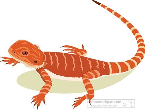 Lizard Clipart Clipart Orange Bearded Dragon Reptile Clip Art