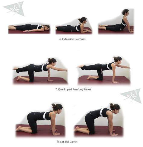 Lower Back Exercizes
