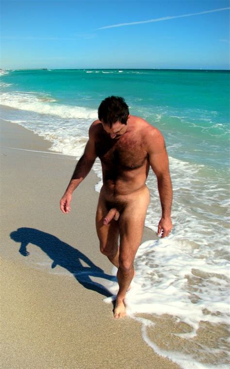 Miamibeachbears Gallery Haulover Nude Beach Gaymiami