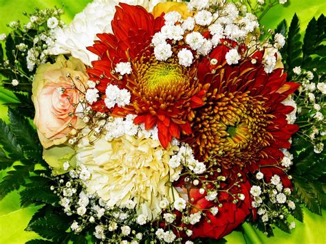 Blumenstrauß Blumen Blumenstrauss · Kostenloses Foto Auf Pixabay