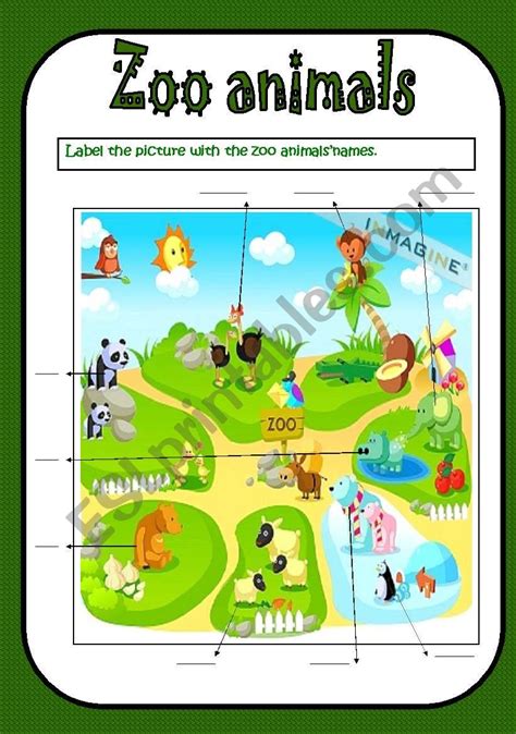 Zoo Animals Flashcards Esl Worksheet By Lacrosseteach