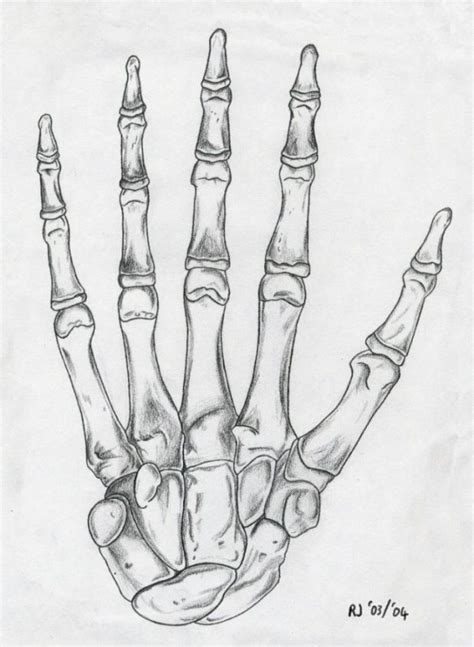 Skeleton Hand Drawing Skeleton Drawings Pencil Art Drawings Art Drawings Sketches Simple