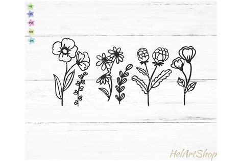 Wildflowers svg, Botanical svg, wildflower cut file (564390) | SVGs