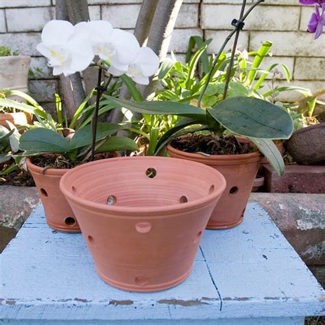 Orchid Plantar Handmade Ceramic Orchid Pot