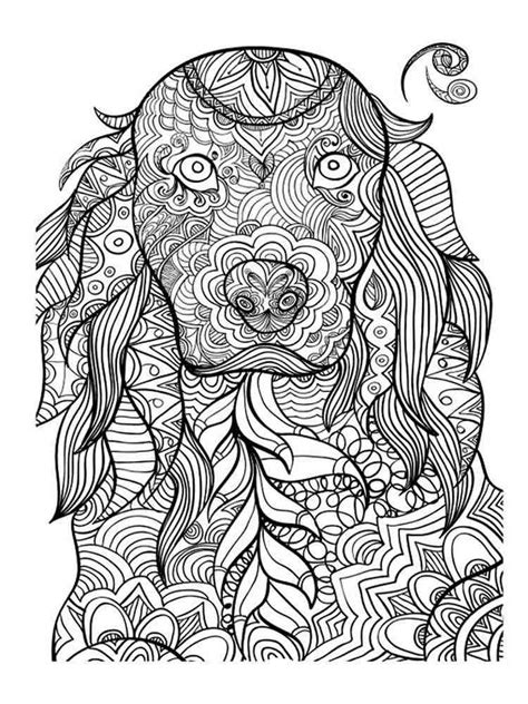 Animal Designs Coloring Book Coloring Page Free
