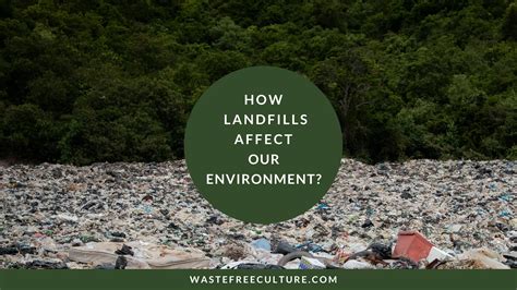How Landfills Especially Plastics Affect Our Environment Waste Free