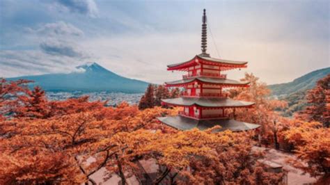Las 10 Curiosidades De Japón Que Nunca Te Contaron ¡te Sorprenderán