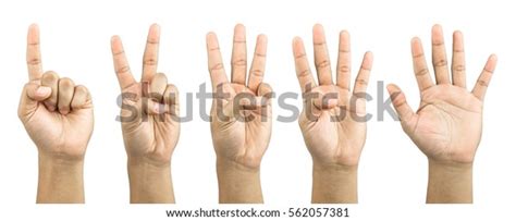 One Five Fingers Count Signs Isolated Stock Photo Edit Now 562057381
