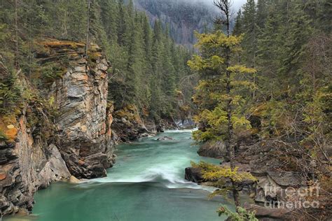 Mt Robson Frasier River Photograph By Adam Jewell