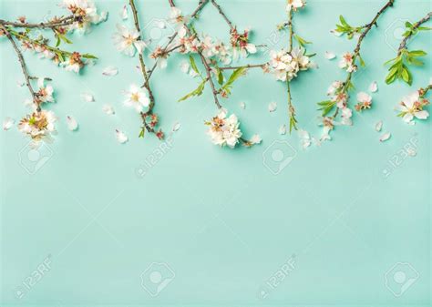Spring Pastels Wallpapers Wallpaper Cave