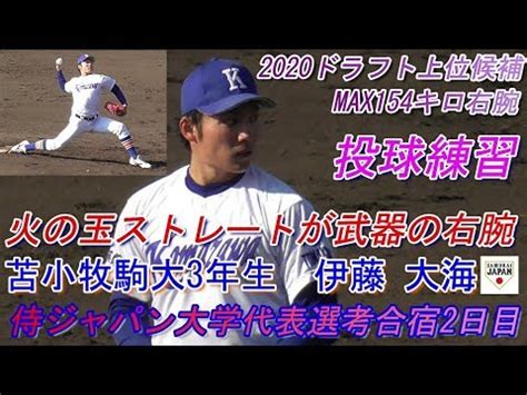 佐野日本大学高等学校 共栄学園中学高等学校 安田学園中学・高等学校 東京学館高等学校 修徳中学校・高等学校 中村中学・高等学校 東海大学付属. 日大土浦 大石 健人