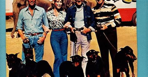 Jun 16, 2021 · they look like something from a fairy garden, but they might not be as enchanting as they look. Barbara Eden in "The Amazing Dobermans" Movie | Barbara ...