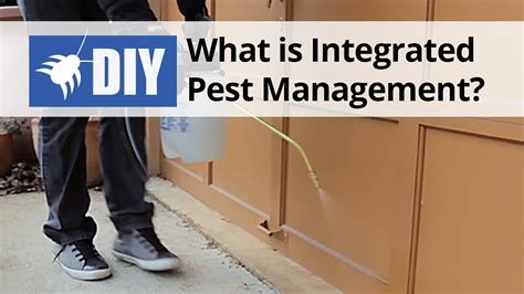 Based on the conditions of the environment and your property, an. Diy Pest Control Conyers Ga | holyfashionamanda