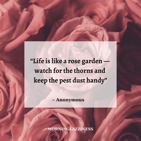 60 Best Rose Quotes To Appreciate The Beauty Of Life And Thorns Morning Lazziness