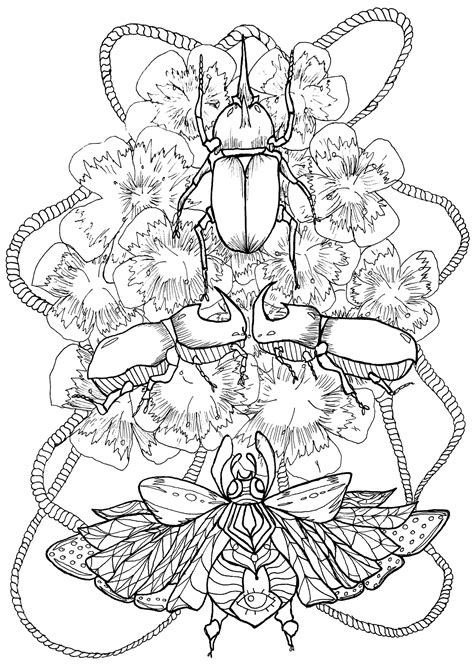 beetles and flowers butterflies and insects adult coloring pages
