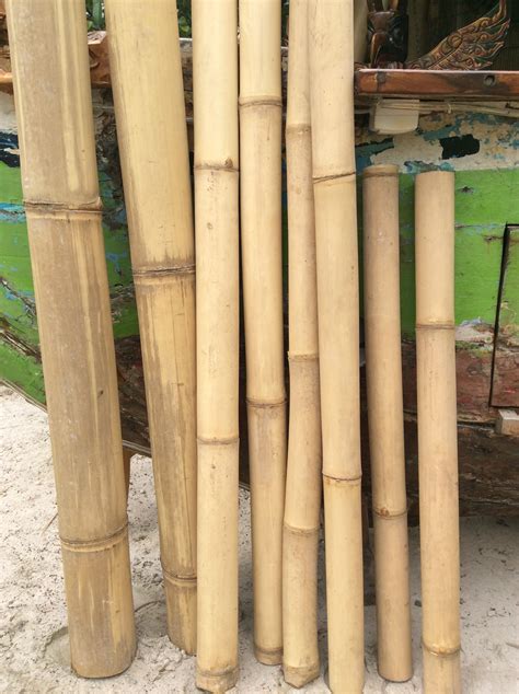 Bamboo Tube Bamboo Pole Bamboo Giant Bamboo 4 X 6 7 Cm X 1 M Etsy